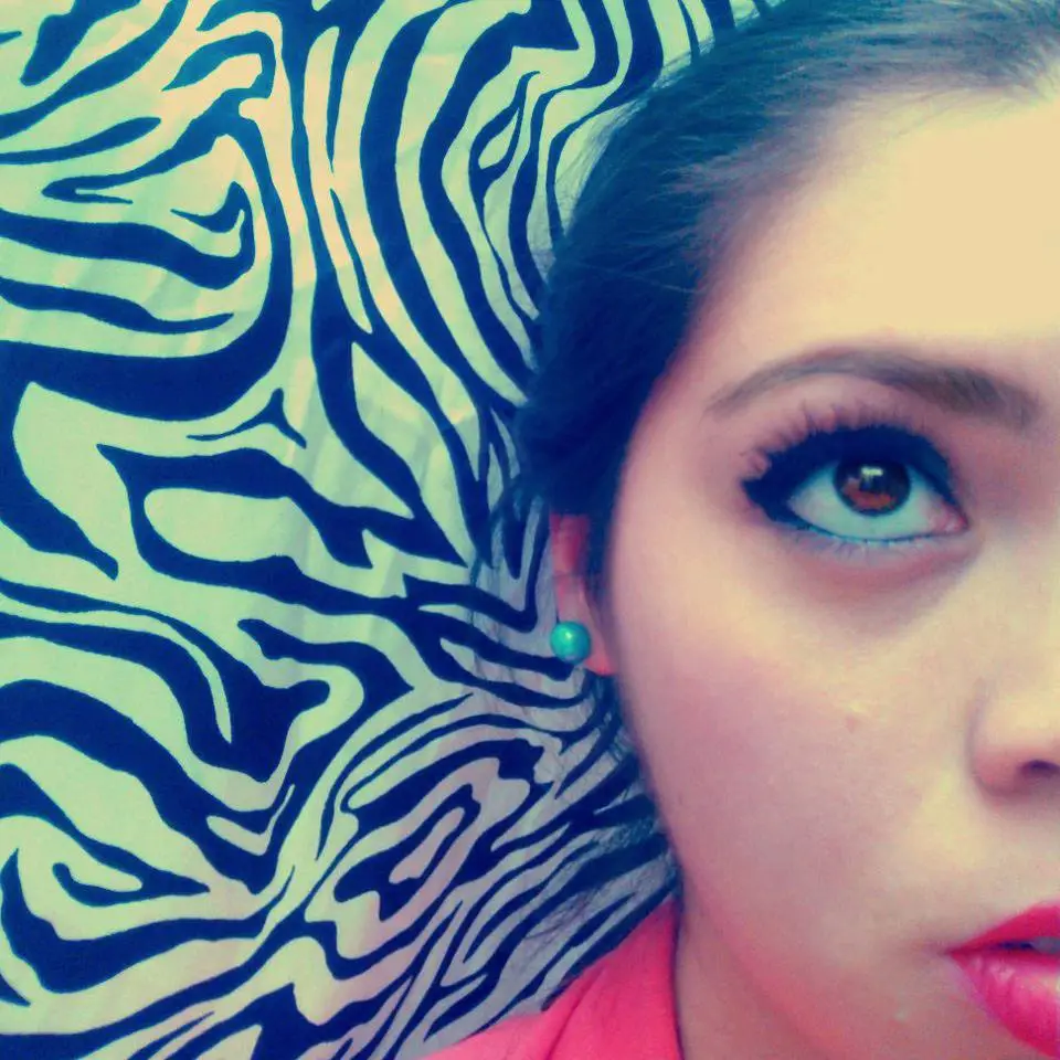 EVELYN ALCANTAR desarrollador web